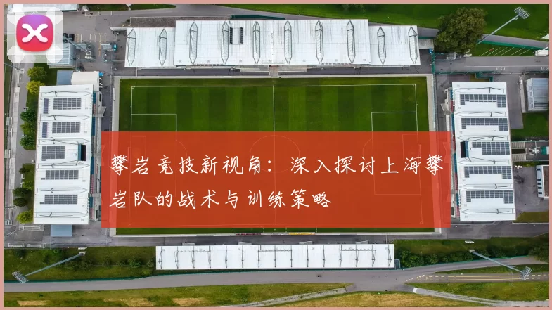 攀岩竞技新视角：深入探讨上海攀岩队的战术与训练策略
