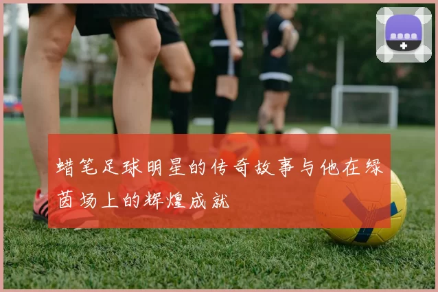 蜡笔足球明星的传奇故事与他在绿茵场上的辉煌成就