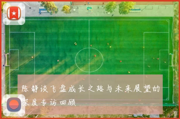 陈静谈飞盘成长之路与未来展望的深度专访回顾