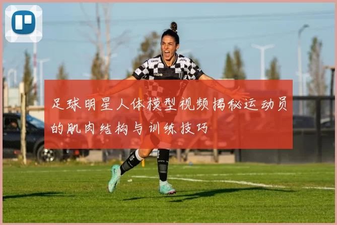 足球明星人体模型视频揭秘运动员的肌肉结构与训练技巧