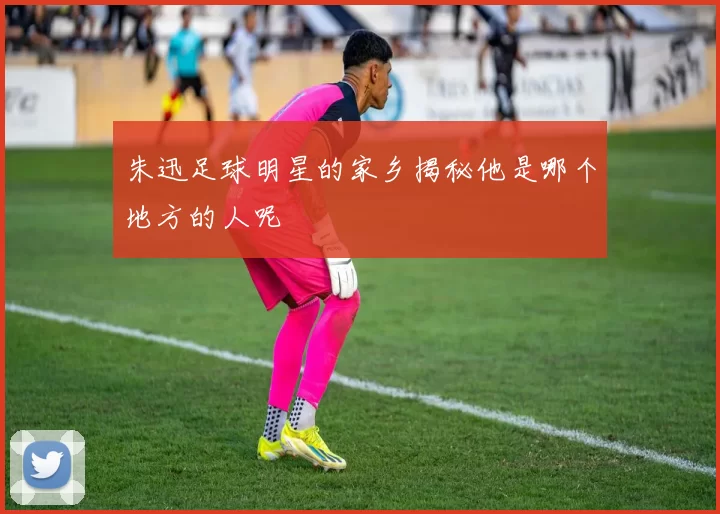 朱迅足球明星的家乡揭秘他是哪个地方的人呢