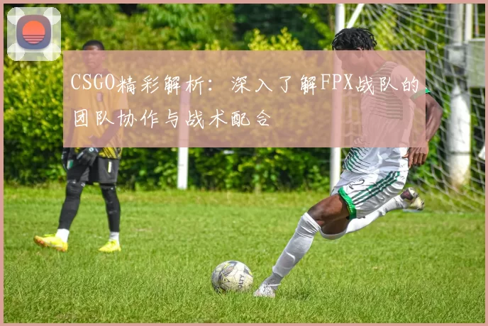 CSGO精彩解析：深入了解FPX战队的团队协作与战术配合