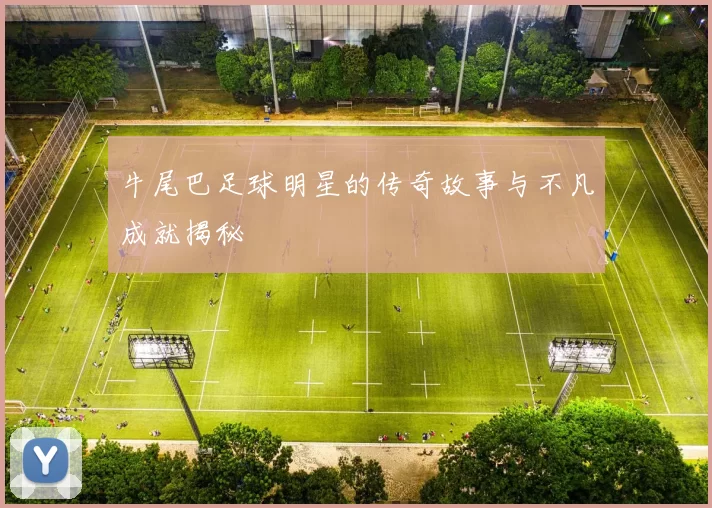 牛尾巴足球明星的传奇故事与不凡成就揭秘
