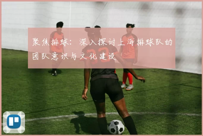 聚焦排球：深入探讨上海排球队的团队意识与文化建设