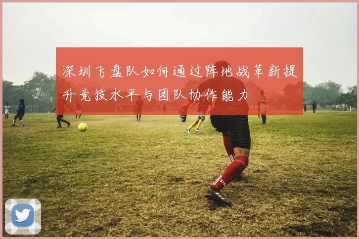 深圳飞盘队如何通过阵地战革新提升竞技水平与团队协作能力