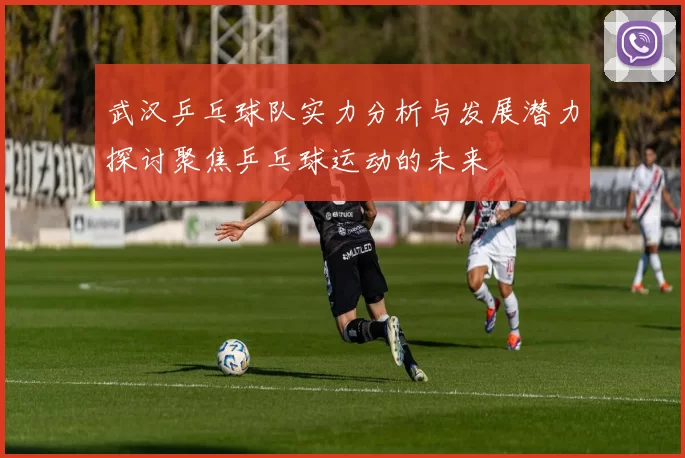 武汉乒乓球队实力分析与发展潜力探讨聚焦乒乓球运动的未来