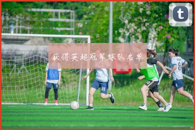 获得英超冠军球队名单