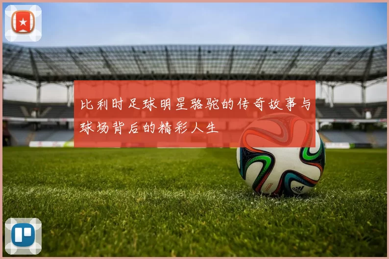 比利时足球明星骆驼的传奇故事与球场背后的精彩人生