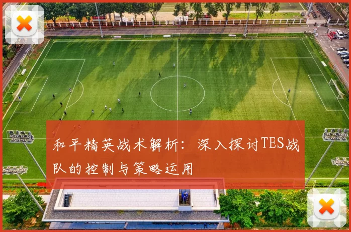 和平精英战术解析：深入探讨TES战队的控制与策略运用