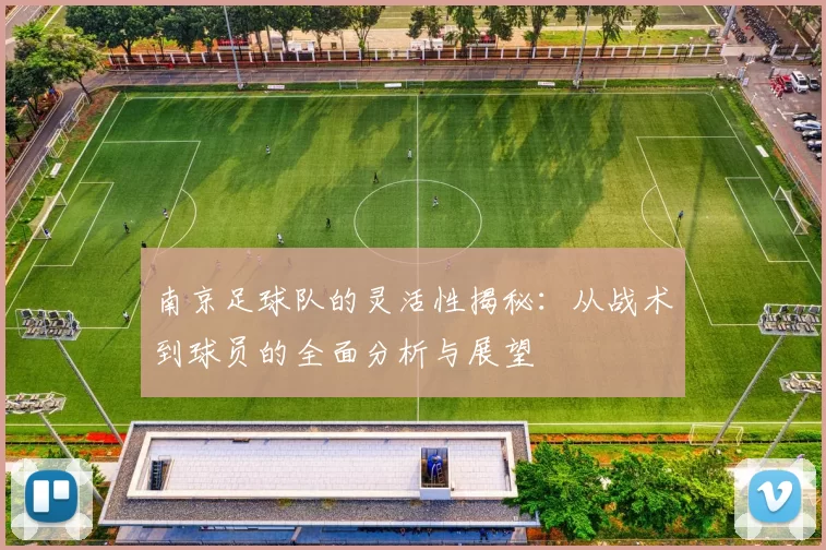 南京足球队的灵活性揭秘：从战术到球员的全面分析与展望