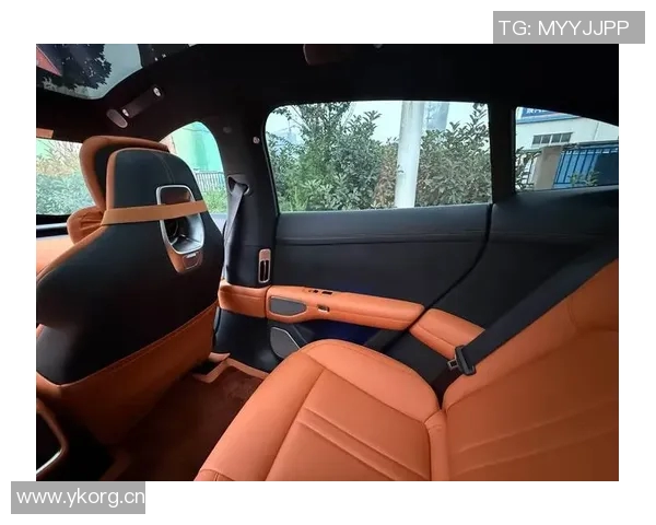 极限运动的成功秘诀陈静分享她的心路历程与挑战心得