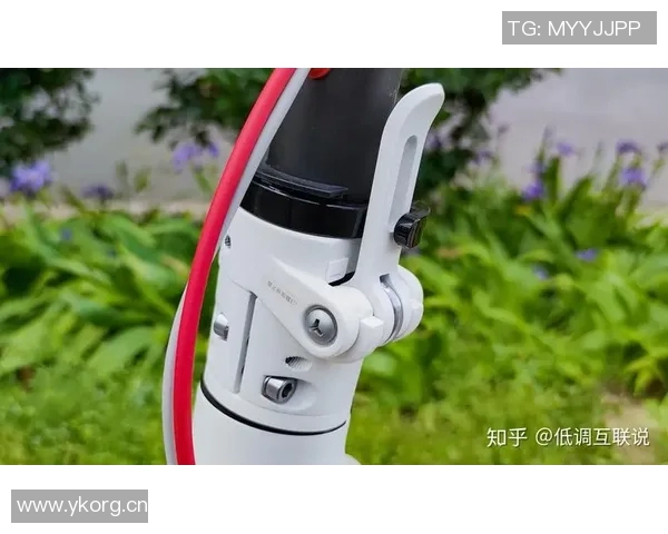 科学滑板训练方法揭秘提升实力的有效技巧与策略